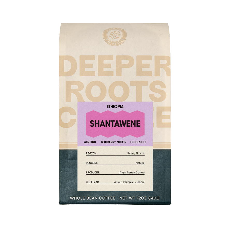 Ethiopia Shantawene 12 oz - Coffee Selection for Home Coffee Enthusiasts