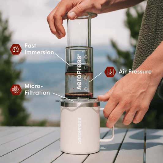 Traveler’s Bundle - Clear - Coffee Preparation Set for Home Use