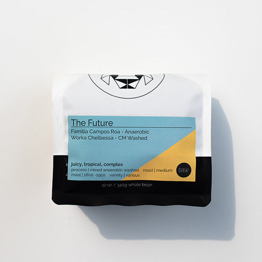 The Future 12 oz - Coffee Selection for Home Coffee Enthusiasts
