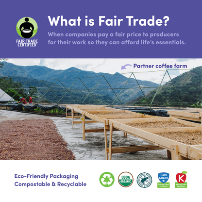 Downtown Blend Organic & Fair Trade - Coffee Selection for Home Coffee Enthusiasts
