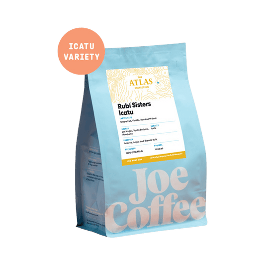 Rubi Sisters Icatu 12 oz - Coffee Selection for Home Coffee Enthusiasts